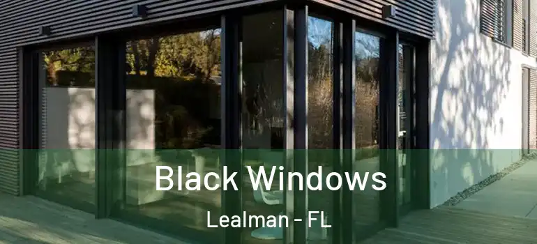 Black Windows Lealman - FL