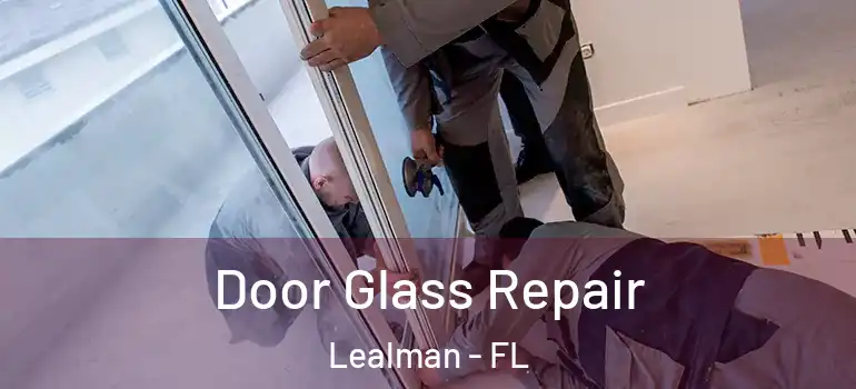 Door Glass Repair Lealman - FL