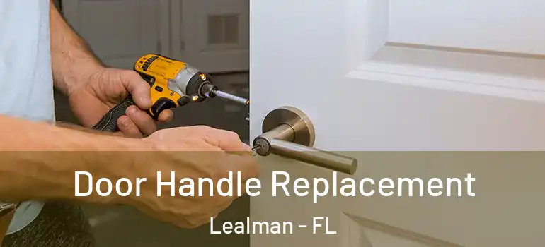 Door Handle Replacement Lealman - FL