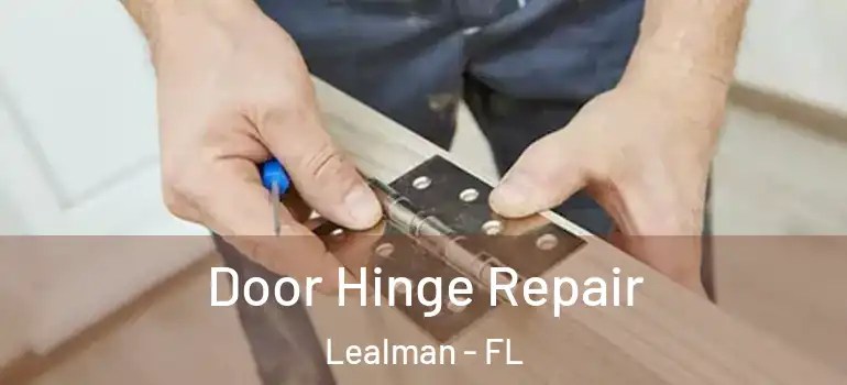 Door Hinge Repair Lealman - FL