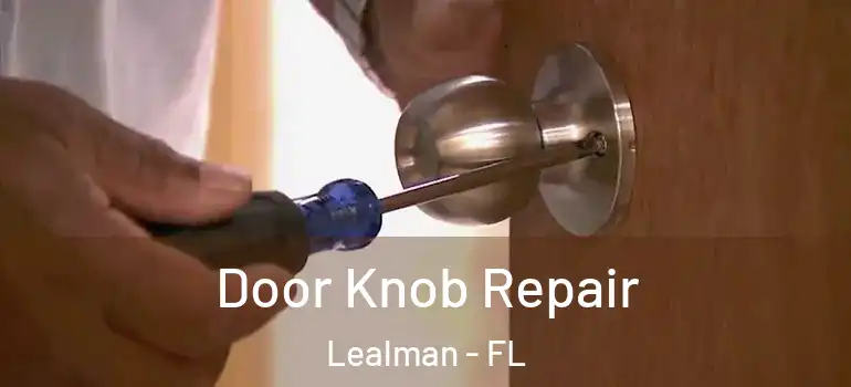 Door Knob Repair Lealman - FL