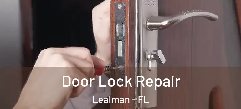 Door Lock Repair Lealman - FL