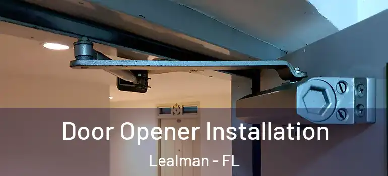 Door Opener Installation Lealman - FL