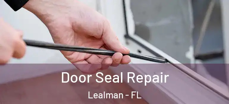 Door Seal Repair Lealman - FL