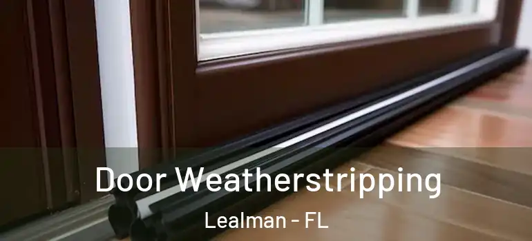 Door Weatherstripping Lealman - FL