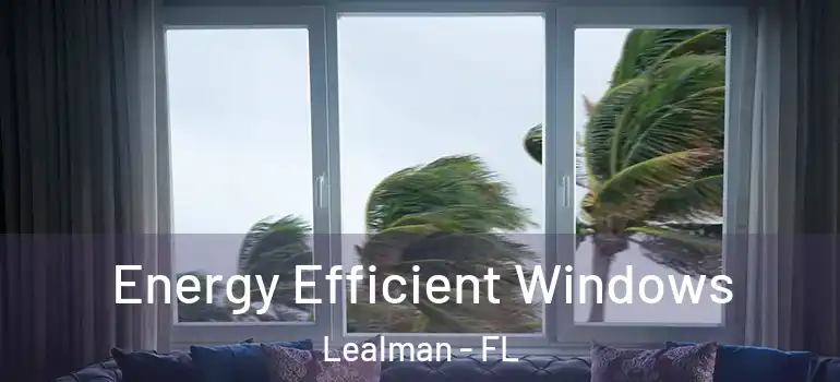 Energy Efficient Windows Lealman - FL