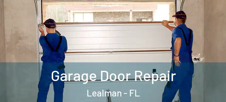 Garage Door Repair Lealman - FL