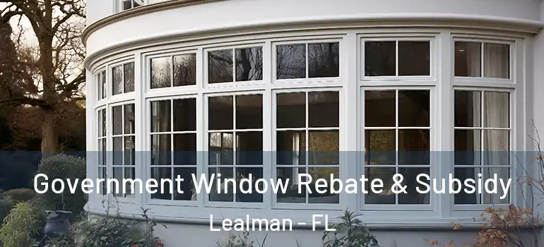 Government Window Rebate & Subsidy Lealman - FL