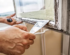 Professional Door and Windows Installation in Lealman, FL