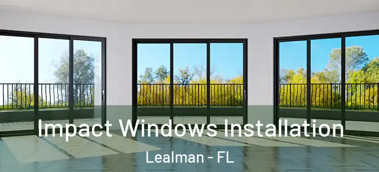 Impact Windows Installation Lealman - FL