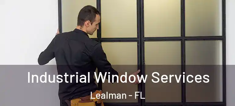 Industrial Window Services Lealman - FL