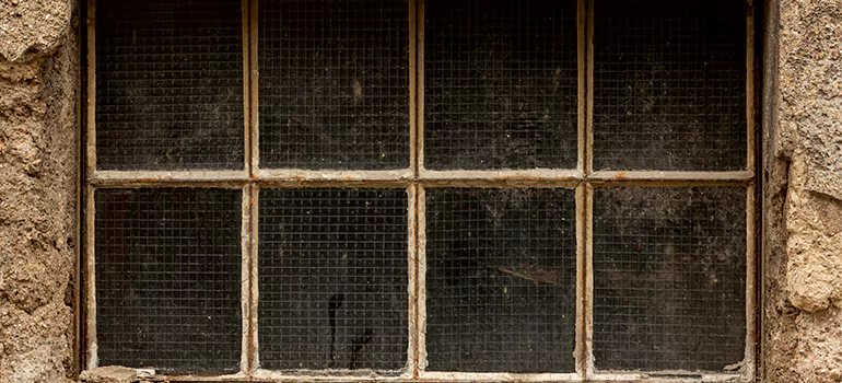 Traditional Double Front Doors in Lealman, FL