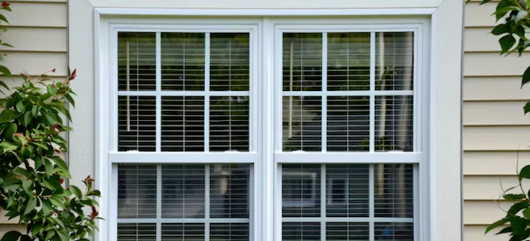 Custom Double Hung Windows in Lealman, FL