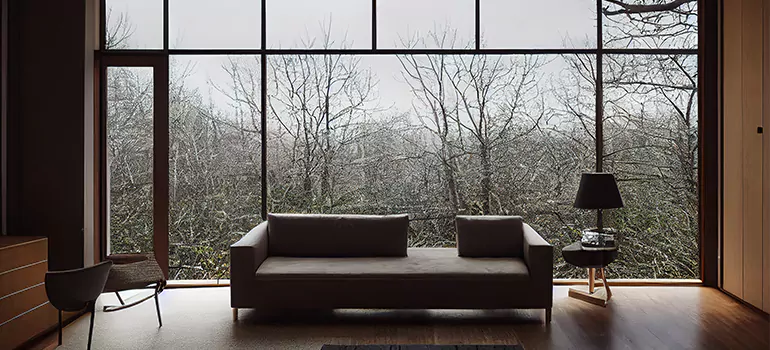 Casement Picture Window in Lealman, FL