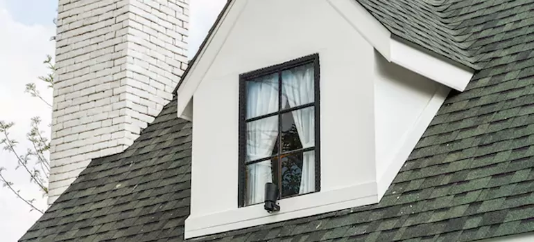 Roof Window Repair in Lealman, FL