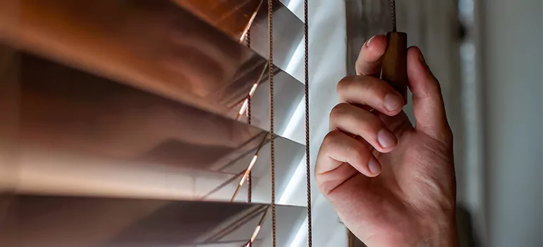 Double Roller Blinds in Lealman, FL