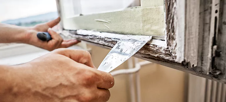 Exterior Window Frame Repair in Lealman, FL