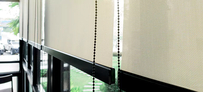 Blackout Window Shades in Lealman, FL