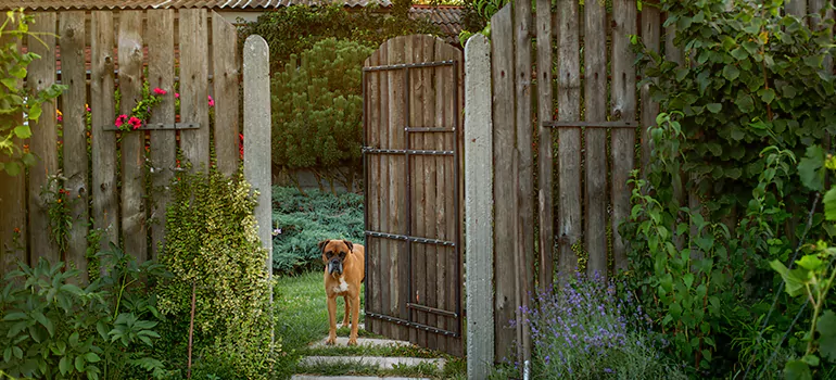 Winter Garden Garage Door Repair in Lealman,[location field=state]
