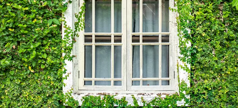 Garden Window Repair Near Me in Lealman, FL