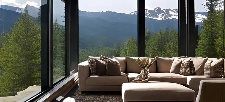 Picture Window Maintenance in Lealman, FL