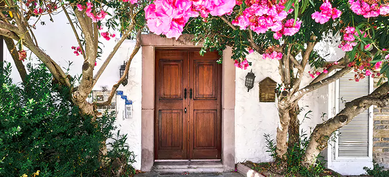 Traditional 4 Panel Internal Doors in Lealman, FL
