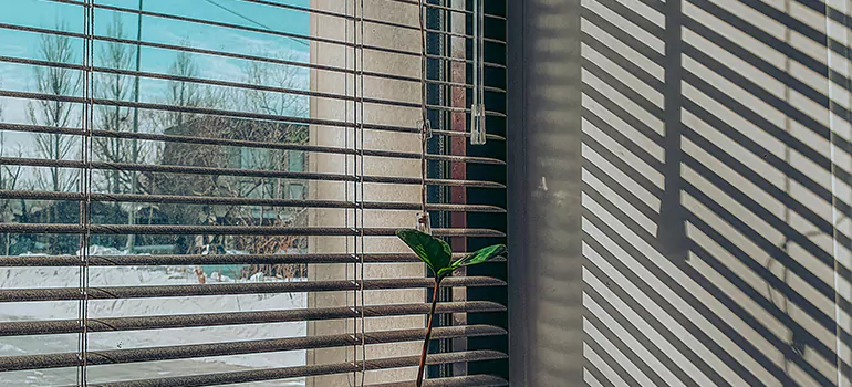 Commercial Window Blinds in Lealman, FL