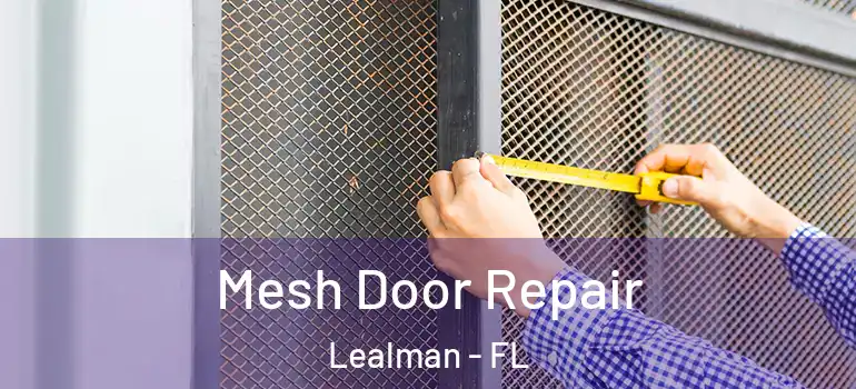 Mesh Door Repair Lealman - FL