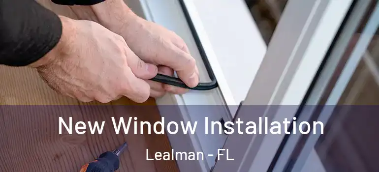  New Window Installation Lealman - FL