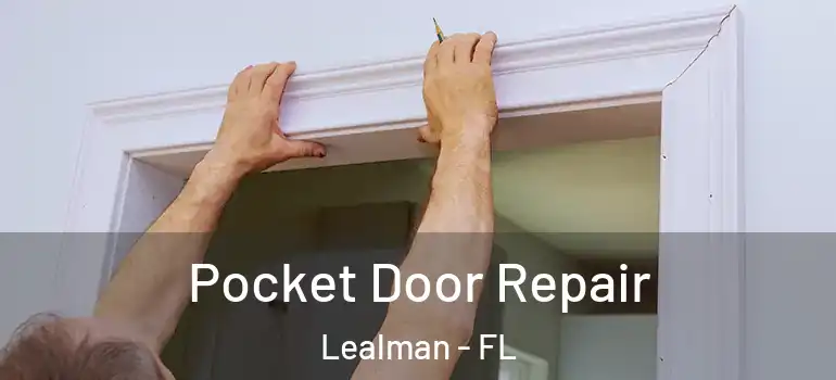 Pocket Door Repair Lealman - FL