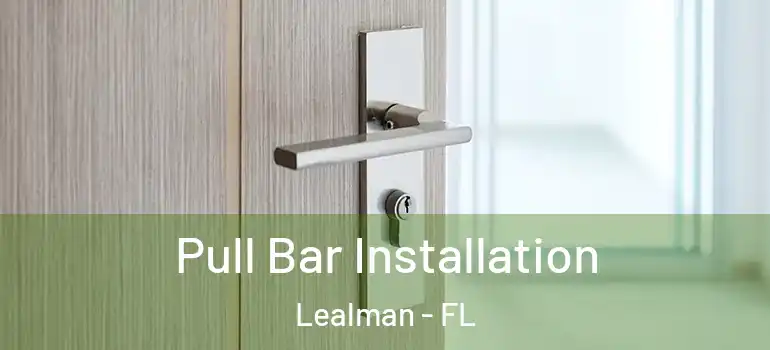 Pull Bar Installation Lealman - FL