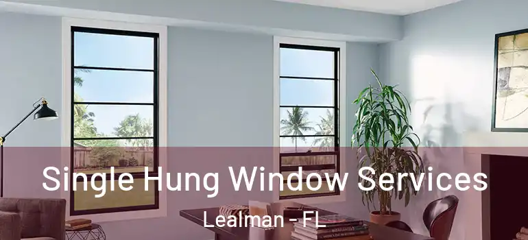 Single Hung Window Services Lealman - FL