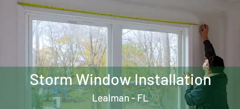 Storm Window Installation Lealman - FL