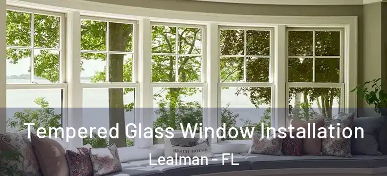 Tempered Glass Window Installation Lealman - FL