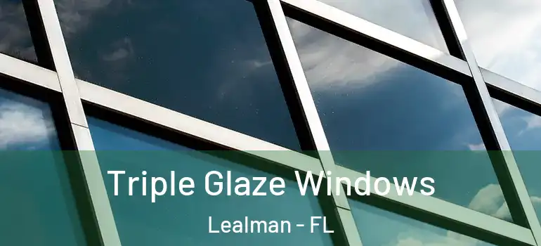 Triple Glaze Windows Lealman - FL