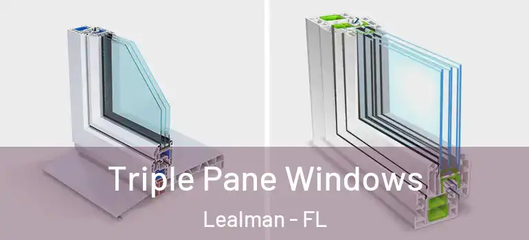 Triple Pane Windows Lealman - FL