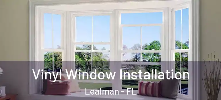 Vinyl Window Installation Lealman - FL