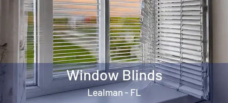 Window Blinds Lealman - FL