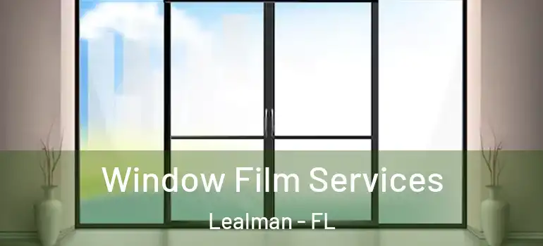Window Film Services Lealman - FL