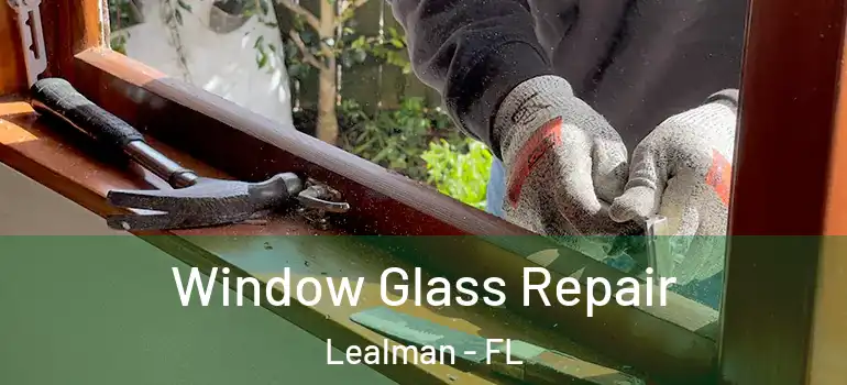 Window Glass Repair Lealman - FL
