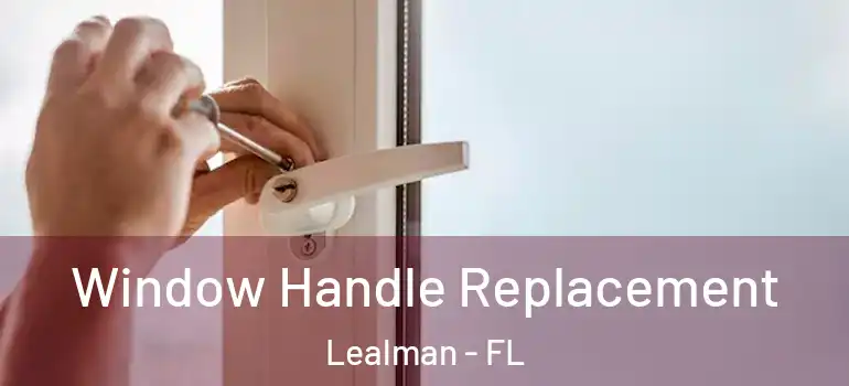 Window Handle Replacement Lealman - FL