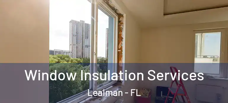 Window Insulation Services Lealman - FL