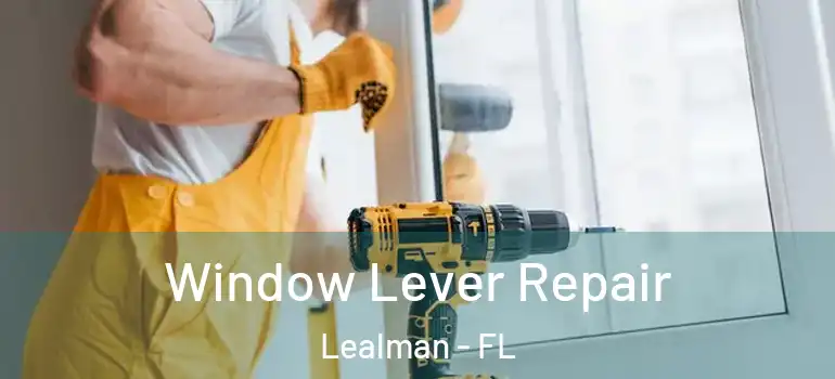 Window Lever Repair Lealman - FL