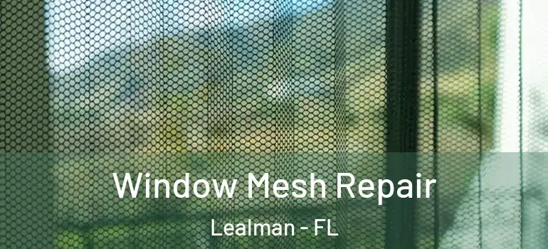 Window Mesh Repair Lealman - FL