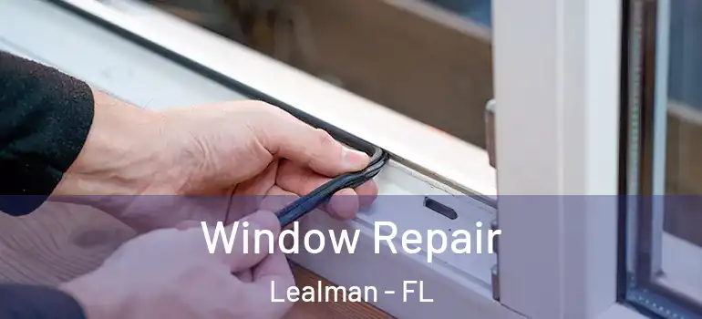 Window Repair Lealman - FL