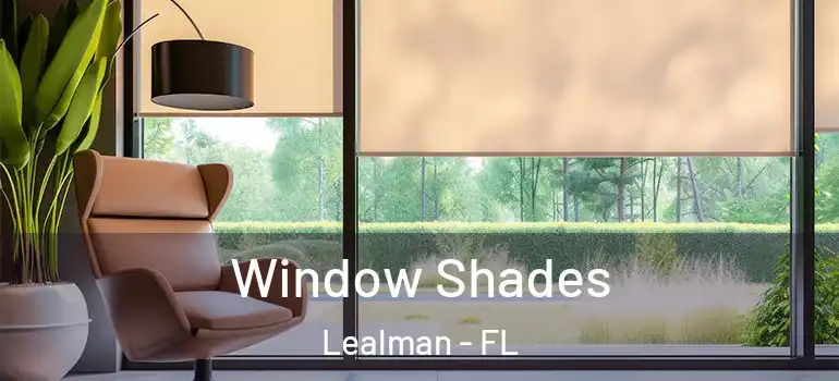 Window Shades Lealman - FL