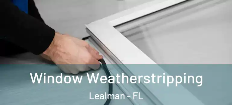 Window Weatherstripping Lealman - FL